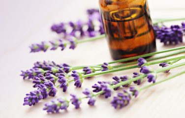 lavender flowers next to a bottle of oil