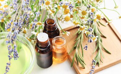 Aromatherapy plants and glass bottles
