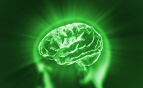Brain with green light shining